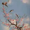 nonguyennguyen628