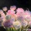 th.k0382