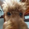 maryanna271