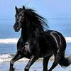 user7518712357043