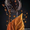 roseficha