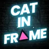 catinframe_yt