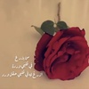 amreem88