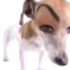 albertfingernoodle694200