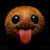 toad.net5