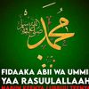 user8981473188047