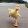 bebeknglayap2