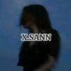 x.sann1