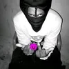 chino_wtd