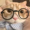 dttv_conan