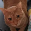 wilsonismyson