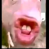 toidangnoichuhoisinh