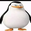 abama_ofisall