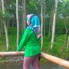 andinieee_3