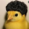 chicko_alf