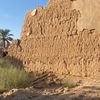 alshabrami1