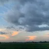 phong.nguyen6044