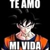gautcesar
