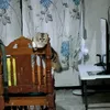 khyllhlhyacinthma