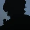 ferraghettov