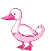patinho.rosa.quack