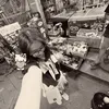 dgnhatchung