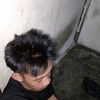 aldial6225