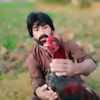 irfanfani9616