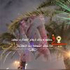 al7a55an