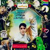 mohammadatif4788
