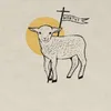 manu_coimbr