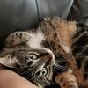 xenabeans1
