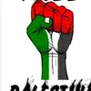 abdou.reda.mca