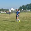 harps_4_