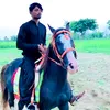 nighahussain16