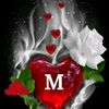.ridoy.mb