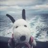tiktok.comlycool
