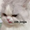 itikceluptepung