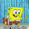 bingungcang