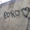 roro_313.1