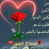 abd.53593