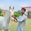 chdawood132
