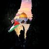 farahkorayem665
