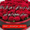 saeedali656089gmail.com0