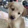 bitey4301