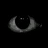 suryanto_666