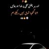 hassanrajpootrajputking