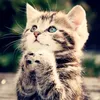iryna_250828