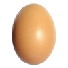 egyareggs228