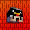 1x100editing